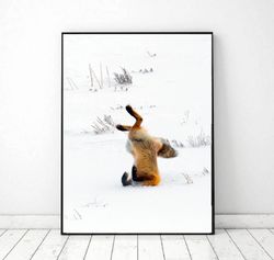 Funny animal poster, Jump fox wall art decor, Winter decoration, Animal printable art