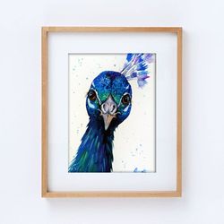 8x11 inch Watercolor original peacock bird wall decor painting by Anne Gorywine