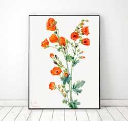 Poppies Wall Art Printable, Vintage Floral Picture Botanical digital download