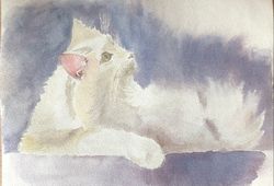 Cute white cat wall art original watercolour painting
