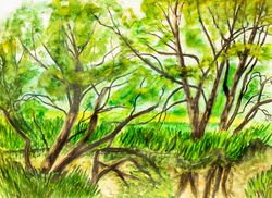 Summer landscape Willow trees near river original watercolor painting