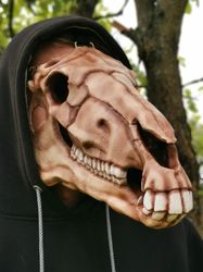 Horse skull mask with jaw, horse skull mask, Mari Lwyd costume, skull head, Halloween Costume,  halloween mask, cosplay
