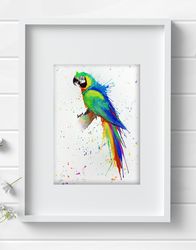 Parrot original watercolor bird painting 8x11 inch wall decor art by Anne Gorywine