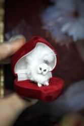 1 Miniature White cat so very move. Realistic pet