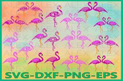 Flamingo SVG, Flamingo Mandala Svg, Flamingo clipart