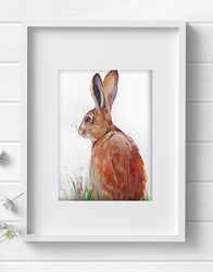 Original watercolor painting 8x11 inches hare aquarelle animal art by Anne Gorywine