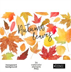 Watercolor autumn leaves clipart, Fall leaf, Hello autumn png, Colors leaf clip art, hand drawn painted Autumn Decor