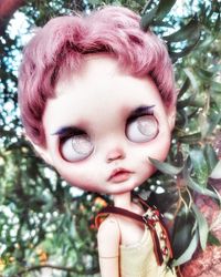 Blythe doll custom Elf doll Fairytale doll Child doll Free shipping