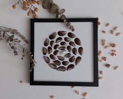 8*8 inch. Mini-picture Circle Sea mussels in a frame. Mandala Shell Art. Wall art made from seashells. Unique gift.