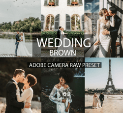Authors professional wedding presets | desktop presets | presets camera raw | XMP presets