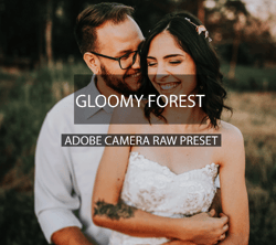 Authors professional Camera raw preset forest, Photography Presets,gloomy, XMP presets, Presets Desktop