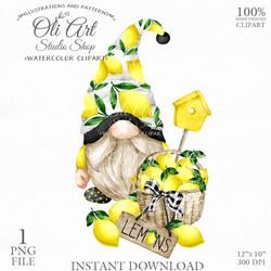 Lemon Gnome. Hand painted clipart. Cute Characters, Hand Drawn graphics. Digital Download. OliArtStudioShop