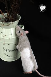 Custom order realistic rat felt toy pet portrait