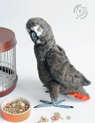 Realistic toy bird Grey Parrot