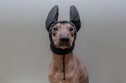 Custom Xolo Winter Fleece Hat Handmade Hat Winter Dog Ear Warmer Dog CUSTOM-MADE Hood Xoloitzcuintli Dog Fleece Warmer