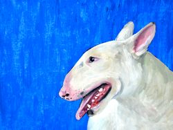 Bull Terrier oil painting, dog portrait oil, painting, dog, dog oil painting