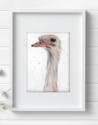 Original watercolor aquarelle ostrich painting 8.27x9.84 inches bird art by Anne Gorywine
