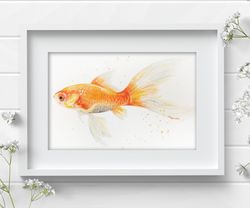 Goldfish 7.4x10.6  inch Watercolor original home decor fish aquarelle painting by Anne Gorywine