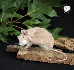 Example item  realistic mouse felt toy pet portrait
