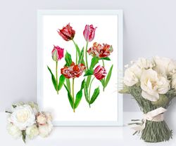 Interior Poster with Red Tulips Flowers for Gift, botanical, plant, floral