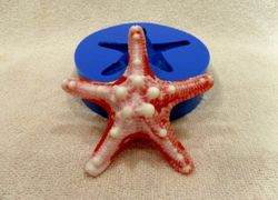 Starfish- silicone mold