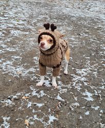 Reindeer dog costume, Dog winter hat,Dog ugly deer, Pet Christmas Costume, Puppy hat,Dog beanie,Dog clothes small