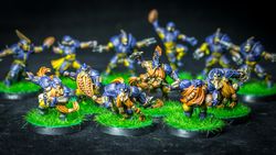 The Middenheim Maulers – Old World Alliance Blood Bowl Team - Painting comission
