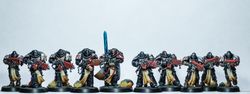 Primaris Crusader Squad - Painting comission