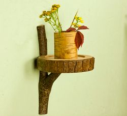 Tree disc shelf wall, Natural Wood Live Edge, floating shelves, display shelves, shadow box, wall plante stand,