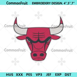 Chicago Bulls NBA Team Embroidery Design File