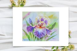 Poster Yellow Violet Iris in the Garden, Watercolor Flowers for Gift