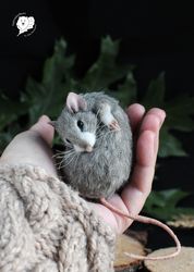 Example item realistic mouse felt toy pet portrait