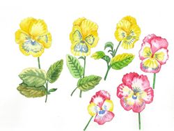Pansies Yellow and Pink, Watercolor Original, Flower, floral gift
