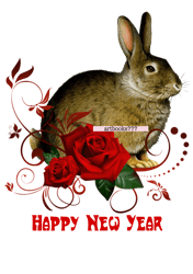 Year of the hare, 2023, rabbit, new year, sublimation-3