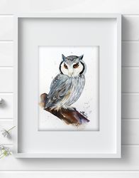 Ptilopsis bird 8x11 inch original painting the white - faced owl art by Anne Gorywine