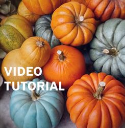 Miniature pumpkins. TUTORIAL polymer clay. VIDEO, pattern. Dollhouse foods. Halloween diy.Mini vegetables. Polymer clay.