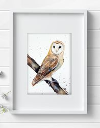 Common barn owl bird 7.5x10.6 inch original painting the white - faced owl art by Anne Gorywine