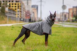 Doberman Custom Waterproof Raincoats Dog Spring Autumn Coat Frenchies Fall Raincoat Rainy Weather Water Resistant Coat