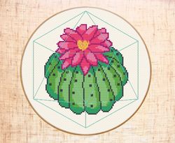 PDF cross stitch pattern Cactus Modern cross stitch Terrarium succulent x-stitch Floral cross stitch Plant