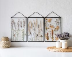 Set of 3 designer wall art, farmhouse wall decor, herbarium pressed plants, pressed flower frame