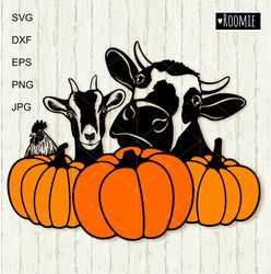 Autumn Farm Animals With Pumpkins Svg, Fall Halloween Farmhouse Sign