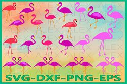 Flamingo SVG, Flamingo clipart, Flamingo Svg, Animal Svg