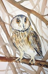 Owl bird 5.3x7.9 inch original painting the white - faced owl art by Anne Gorywine