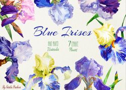 Blue Irises Watercolor Clipart flower, clip art, garden, iris, flowers clipart, floral clipart, Instant Download