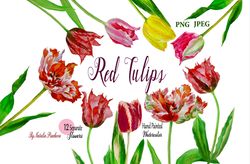 Tulips clipart flowers watercolor,  spring clip art, Mothers day, 8 march, Instant Download