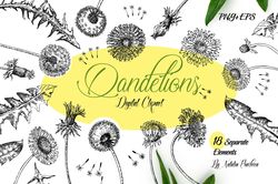 Dandelions Sketches Clipart botanical  hand drawn sketches with spring flowers. Instant download