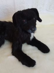 Portrait of a Pet Labrador Dog Plush Toy