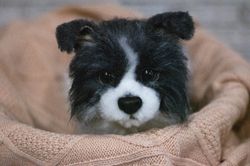 Border Collie  Puppy, ooak ,handmade gift, furry animal, kawaii plush, poseable doll ,black friday