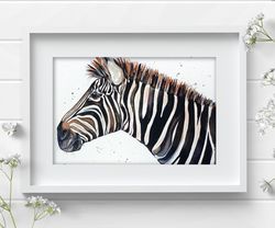 Original watercolor painting  8x11 inches zebra wild animal art by Anne Gorywine