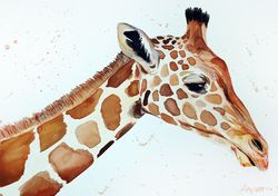 Original watercolor painting  8x11 inches  giraffe animal art by Anne Gorywine